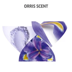 Wella Professionals Invigo Blonde Recharge Cool Blonde Shampoo 250ml -Wella Professionals || Redken || Matrix Sales 544040 4