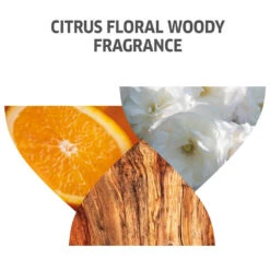 Wella Professionals Invigo Color Brilliance Shampoo Fine 500ml -Wella Professionals || Redken || Matrix Sales 816868 3